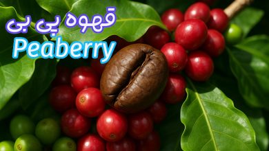 قهوه پی بی