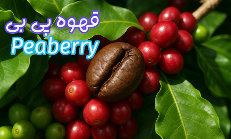 قهوه پی بی