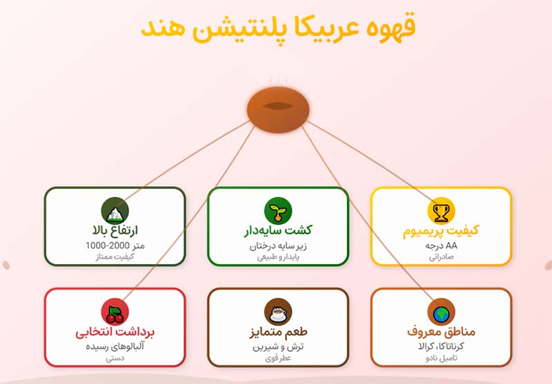 قهوه عربیکا پلنتیشن هند