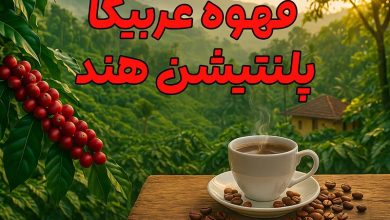 قهوه عربیکا پلنتیشن هند