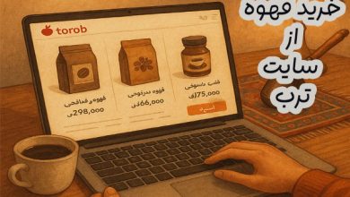 خرید سایت از ترب