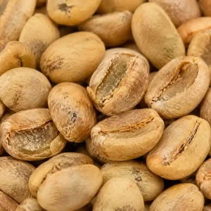 قهوه روبوستا پارچمنت