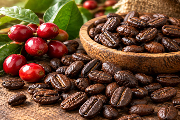 قهوه اتیوپی عربیکا
