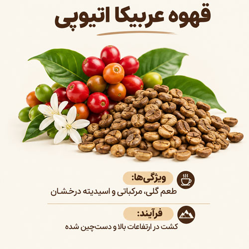 قهوه اتیوپی لکمپتی